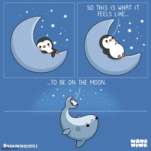 image tagged in penguin,moon,shark,tail | made w/ Imgflip meme maker