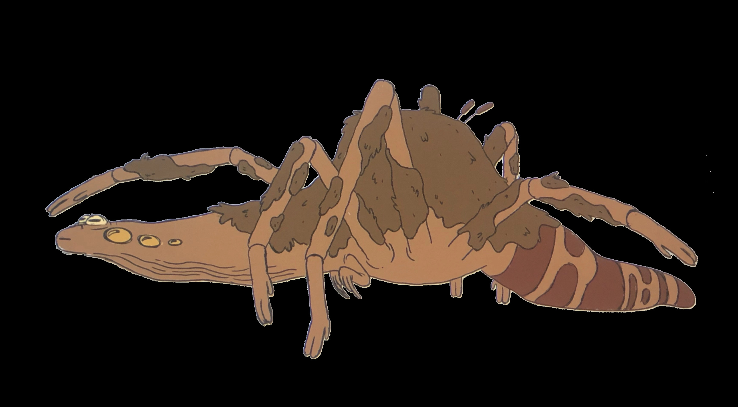 Spider frog Blank Meme Template
