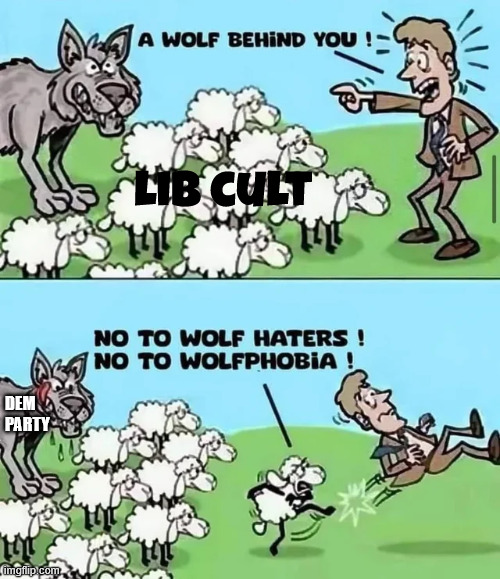 lib cult dem party | made w/ Imgflip meme maker