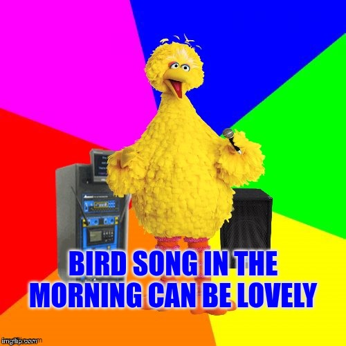 Bird song in the morning can be very relaxing | Bird song in the morning can be lovely | image tagged in wrong lyrics karaoke big bird,autism,bird song,relaxation,wellbeing | made w/ Imgflip meme maker