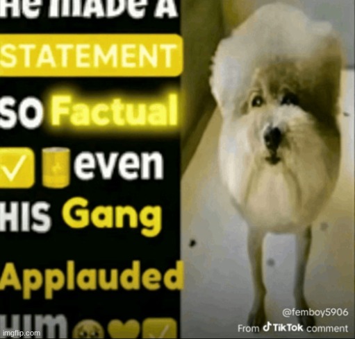 he made a statement so factual | image tagged in he made a statement so factual | made w/ Imgflip meme maker