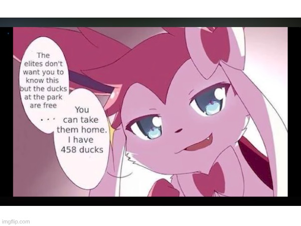 Image title | image tagged in sylveon,ducks,why are you reading the tags,i diagnose you with gay | made w/ Imgflip meme maker