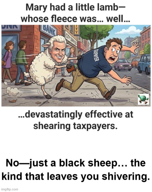 Is Gavin Newsom a wolf in sheep’s clothing? | image tagged in maga,conservative,gavin | made w/ Imgflip meme maker