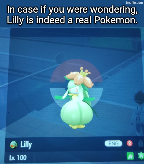 Lilly is Real and has been real since November 2025. | In case if you were wondering, Lilly is indeed a real Pokemon. | image tagged in pokemon | made w/ Imgflip meme maker