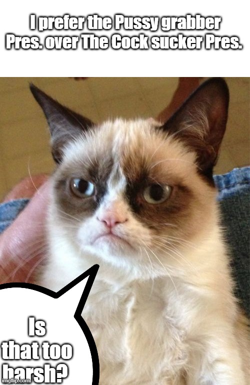 WARNING R RATED MEME.. Whoo whoo there Grumpy, that's not nice. | I prefer the Pussy grabber Pres. over The Cock sucker Pres. Is that too harsh? | image tagged in memes,grumpy cat | made w/ Imgflip meme maker