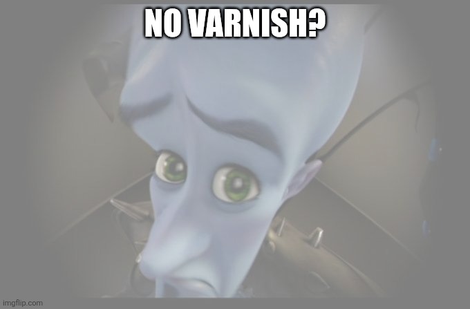 No Varnish | NO VARNISH? | image tagged in no bitches | made w/ Imgflip meme maker