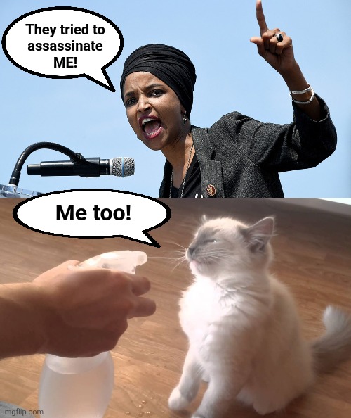 Every crazy lie lib women tell is a gift to the Republican party | They tried to
assassinate
ME! Me too! | image tagged in ilhan omar,memes,assassination,kitten,democrats,insanity | made w/ Imgflip meme maker