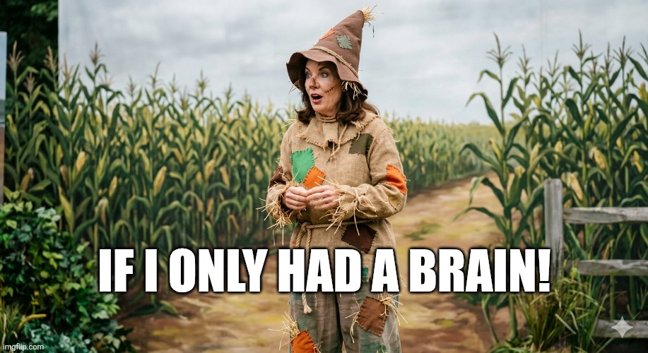 Kathy Hochul Scarecrow | If I only had a brain! | image tagged in 1778336594030 png | made w/ Imgflip meme maker