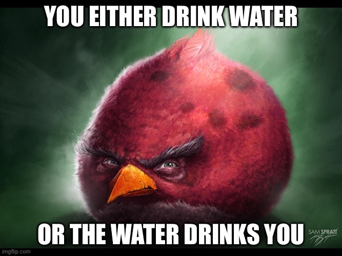 Realistic Angry Bird (big red) | you either drink water; or the water drinks you | image tagged in realistic angry bird big red | made w/ Imgflip meme maker
