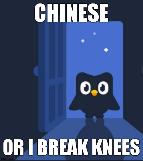 Duolingo bird | chinese; or I break knees | image tagged in duolingo bird | made w/ Imgflip meme maker