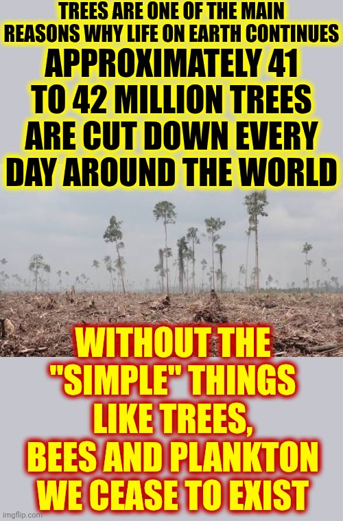 If We Planted A Billion Trees A Day Every Day For As Long As We've Been Chopping Them Down Water Would Come Back | Trees are one of the main reasons why life on earth continues; Approximately 41 to 42 MILLION trees are cut down every day around the world; Without the "simple" things like trees, bees and plankton
we cease to exist | image tagged in memes,trees,current objective survive,oxygen,life,wake up | made w/ Imgflip meme maker