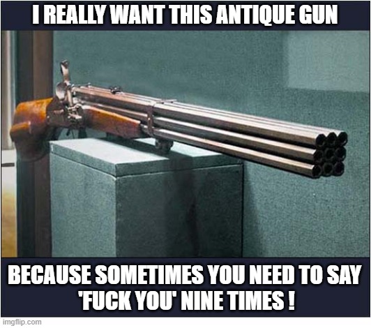 An Object Of Desire ... | I really Want This Antique Gun; Because Sometimes You Need To Say
 'Fuck You' Nine Times ! | image tagged in guns,desire | made w/ Imgflip meme maker
