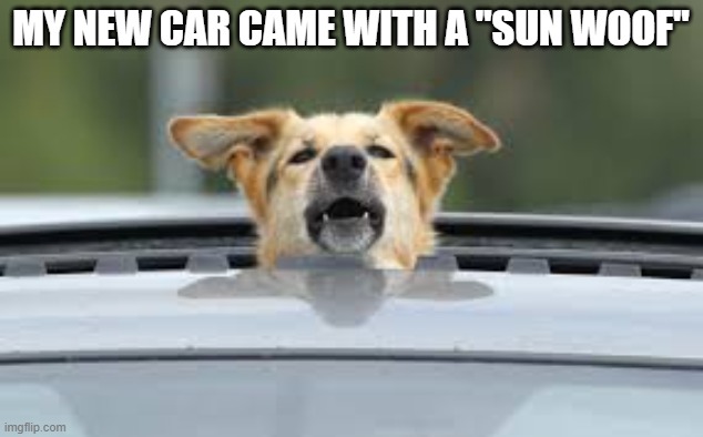 My new car came with a "Sun Woof". | My new car came with a "sun woof" | image tagged in funny,humor,dog,car,play on words | made w/ Imgflip meme maker