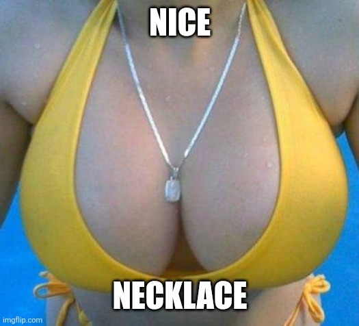 Nice necklace | Nice; Necklace | image tagged in boobs | made w/ Imgflip meme maker