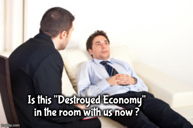 psychiatrist | Is this "Destroyed Economy" in the room with us now ? | image tagged in psychiatrist | made w/ Imgflip meme maker