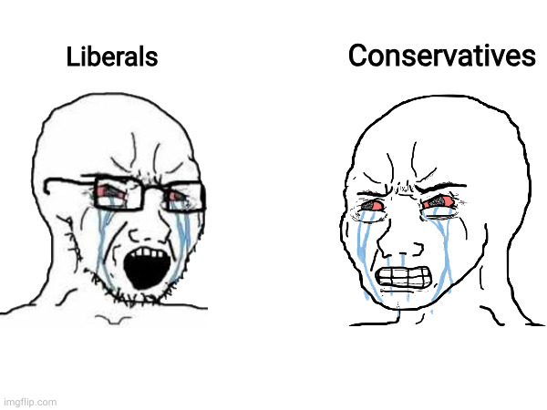 Conservatives Liberals | made w/ Imgflip meme maker