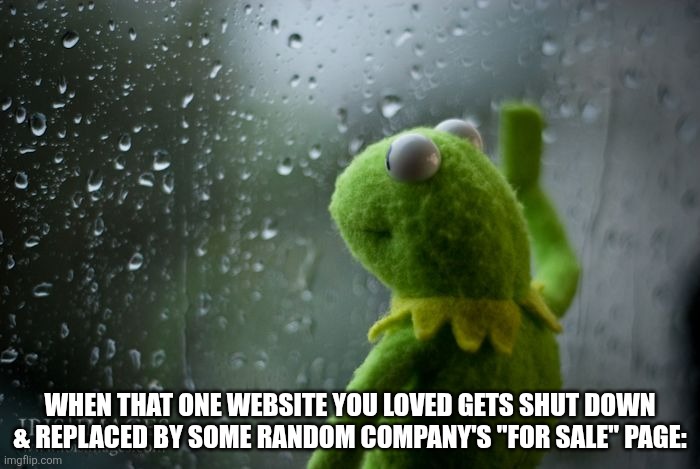 True story | When that one website you loved gets shut down & replaced by some random company's "for sale" page: | image tagged in kermit window | made w/ Imgflip meme maker