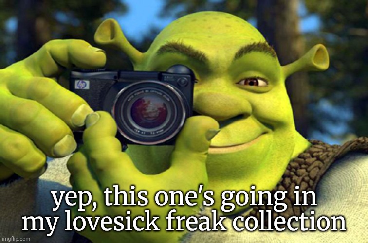 shrek camera | yep, this one's going in my lovesick freak collection | image tagged in shrek camera | made w/ Imgflip meme maker