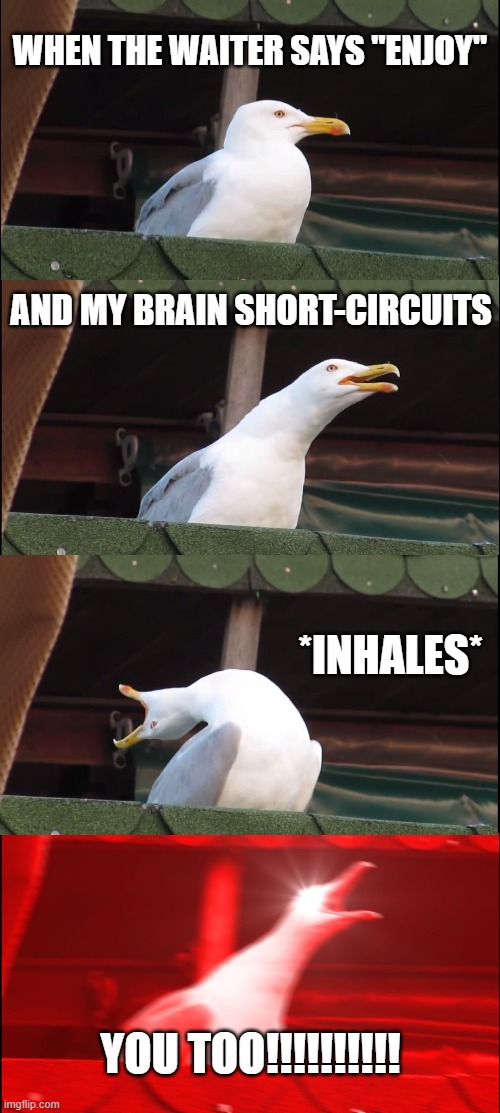 Wrong Response | WHEN THE WAITER SAYS "ENJOY"; AND MY BRAIN SHORT-CIRCUITS; *INHALES*; YOU TOO!!!!!!!!!! | image tagged in memes,inhaling seagull | made w/ Imgflip meme maker