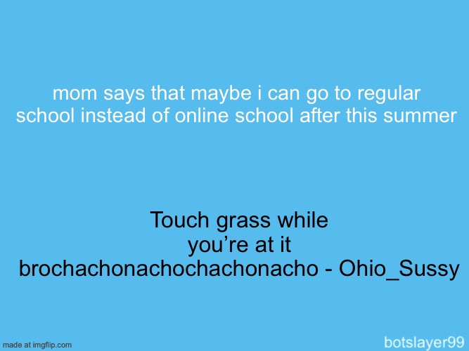 botslayer announcement temp | mom says that maybe i can go to regular school instead of online school after this summer; Touch grass while you’re at it brochachonachochachonacho - Ohio_Sussy | image tagged in botslayer announcement temp,remix | made w/ Imgflip meme maker