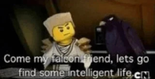 come on my falcon friend Blank Meme Template