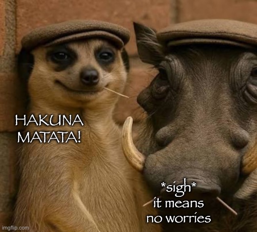 IMG_1995.jpeg | hakuna matata! *sigh*
it means no worries | image tagged in img_1995 jpeg | made w/ Imgflip meme maker