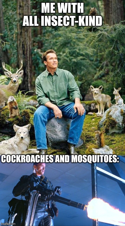 Insects | Me with all insect-kind; Cockroaches and mosquitoes: | image tagged in arnold schwarzenegger,terminator minigun arnold schwarzenegger | made w/ Imgflip meme maker