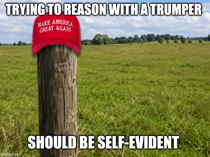 Fence Post | Trying to reason with a Trumper; Should be self-evident | image tagged in trumper,maga,trump,fascists,dumb people | made w/ Imgflip meme maker