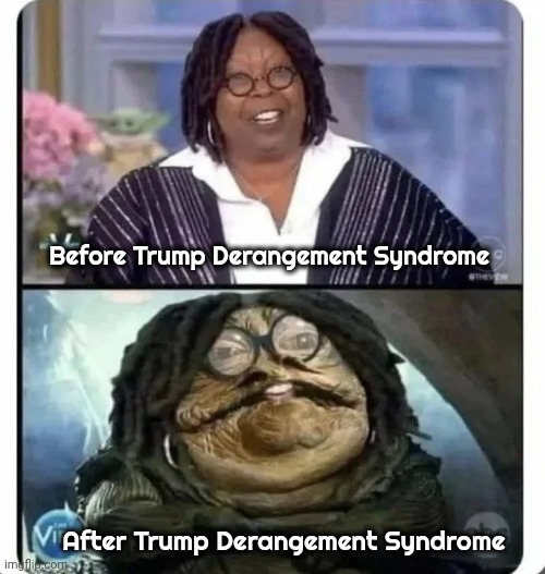 Don't let this happen to you | Before Trump Derangement Syndrome; After Trump Derangement Syndrome | image tagged in mental illness,liberalism,tds,after affects,inhuman,media clown | made w/ Imgflip meme maker