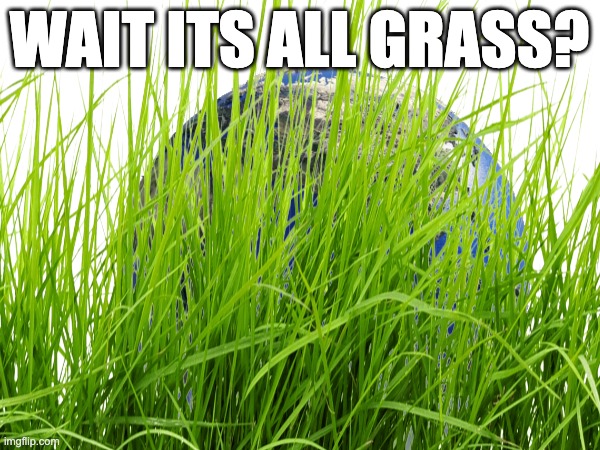 wait its all grass? | made w/ Imgflip meme maker