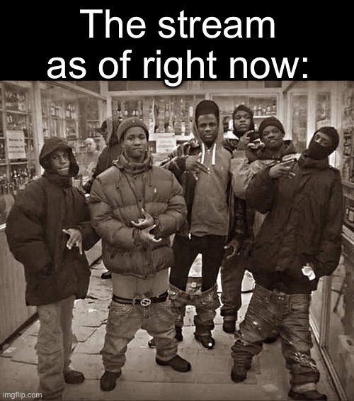 Basically the mods just hanging out and stuff | The stream as of right now: | image tagged in all my homies hate,memes | made w/ Imgflip meme maker