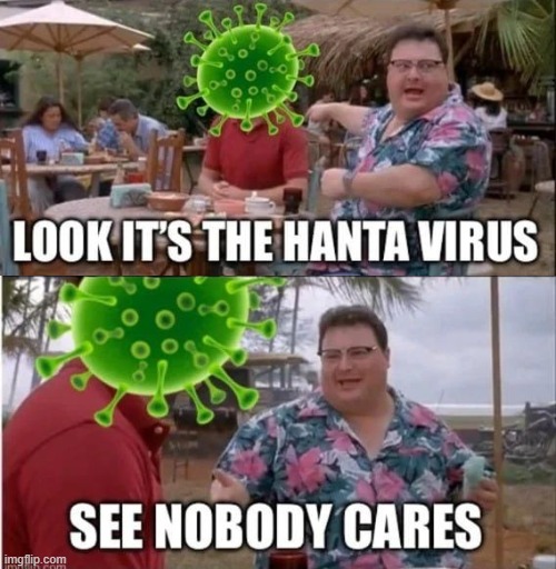 Hanta Virus | image tagged in 69ff5dac9f601 jpeg | made w/ Imgflip meme maker