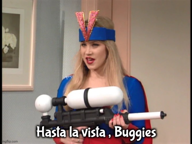 Verminator_-_tgg.webp | Hasta la vista , Buggies | image tagged in verminator_-_tgg webp | made w/ Imgflip meme maker