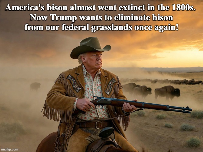 Keep your tiny hands off our American  heritage! | America's bison almost went extinct in the 1800s. 

Now Trump wants to eliminate bison from our federal grasslands once again! | image tagged in donald trump,american heritage,bison,buffalo,wild west,federal lands | made w/ Imgflip meme maker