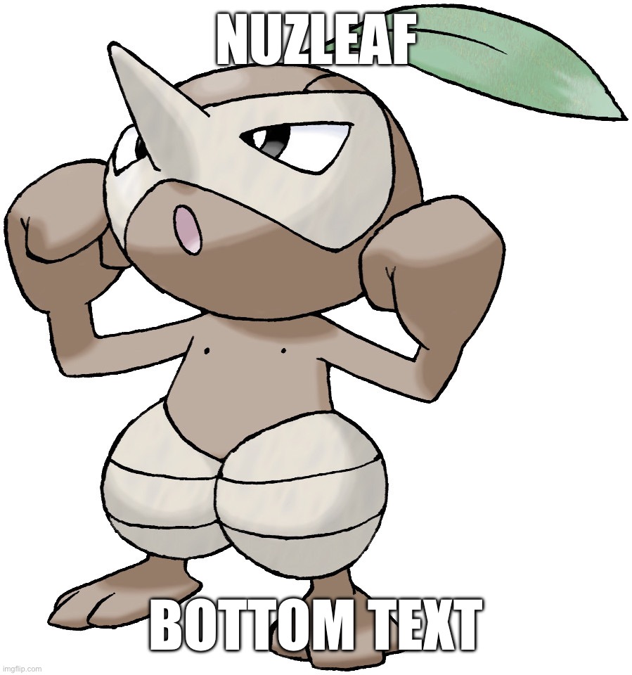 Nuzleaf Blank Meme Template