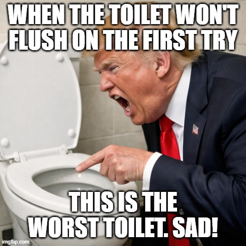 donald trump yelling at a toilet | WHEN THE TOILET WON'T FLUSH ON THE FIRST TRY; THIS IS THE WORST TOILET. SAD! | image tagged in donald trump yelling at a toilet,donald trump,toilet | made w/ Imgflip meme maker