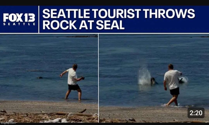 Who the fuck throws a rock at an endangered animal?! | made w/ Imgflip meme maker