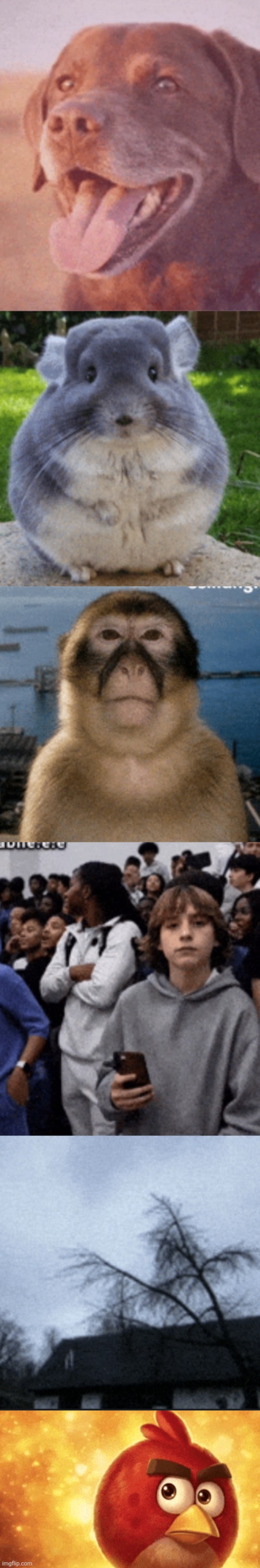 No context. Goodbye | made w/ Imgflip meme maker