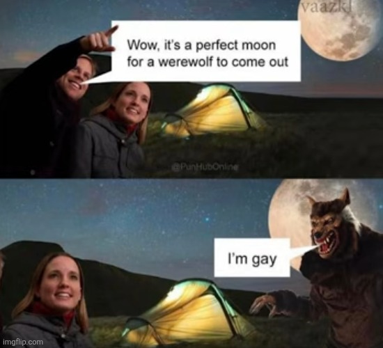 image tagged in memes,moon,werewolf,gay,dad joke,funny | made w/ Imgflip meme maker