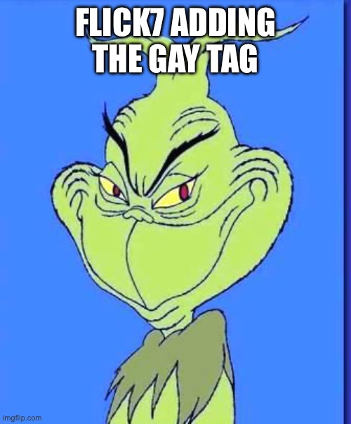 Good Grinch | flick7 adding the gay tag | image tagged in good grinch | made w/ Imgflip meme maker