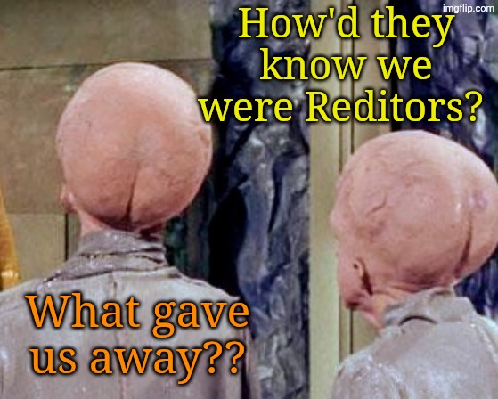 The REAL Menagerie. | How'd they know we were Reditors? What gave us away?? | image tagged in meme | made w/ Imgflip meme maker