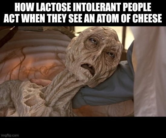 Alien Dying | How lactose intolerant people act when they see an atom of cheese | image tagged in alien dying | made w/ Imgflip meme maker
