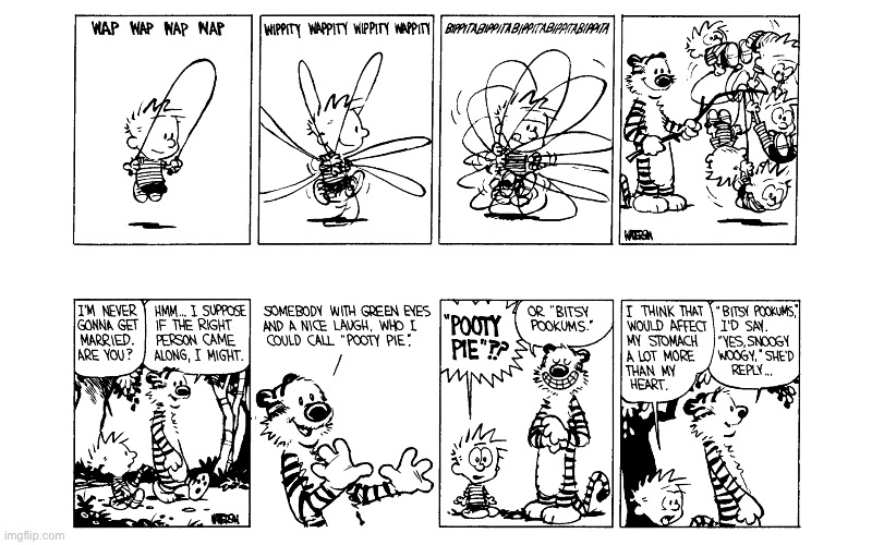 IMG_4224.jpeg | image tagged in calvin and hobbes,comics | made w/ Imgflip meme maker