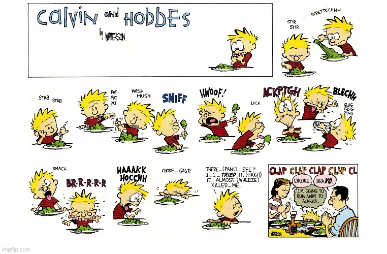 image tagged in calvin and hobbes,comics | made w/ Imgflip meme maker