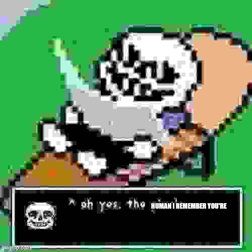 Sans ah yes, the pixels | Human I remember you're | image tagged in sans ah yes the pixels | made w/ Imgflip meme maker