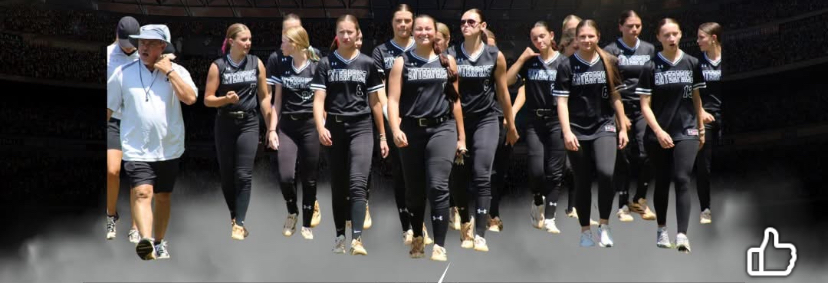 Softball Blank Meme Template