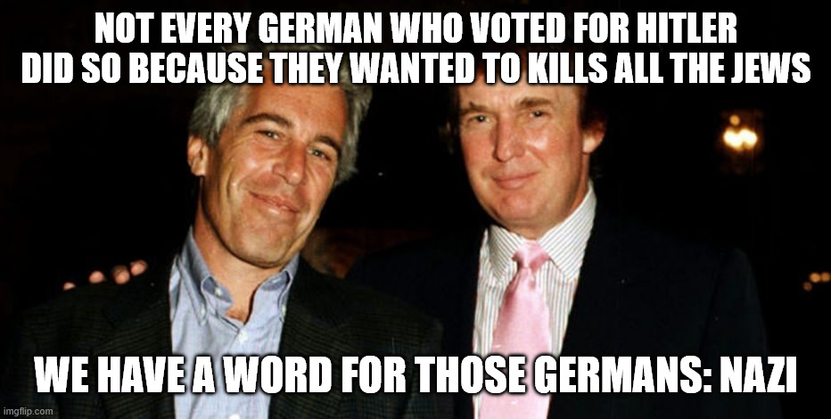 All Republicans are Nazis | Not every german who voted for hitler did so because they wanted to kills all the jews; We have a word for those germans: Nazi | image tagged in trump epstein | made w/ Imgflip meme maker