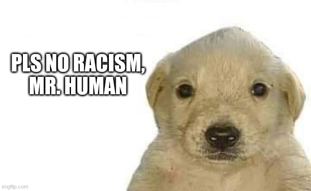 no racism | pls no racism,
mr. human | image tagged in te quiero mucho | made w/ Imgflip meme maker