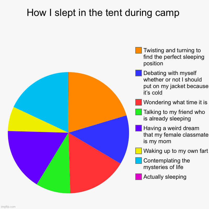 Just came back from school camp | How I slept in the tent during camp | Actually sleeping, Contemplating the mysteries of life, Waking up to my own fart, Having a weird dream | image tagged in charts,pie charts,camp,sleep,memes,funny | made w/ Imgflip chart maker