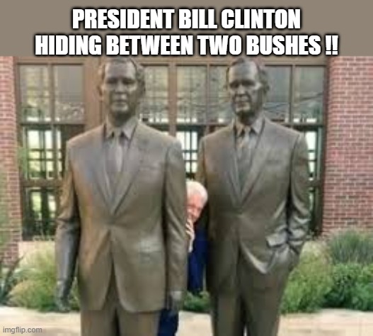 President Bill Clinton hiding between two bushes.   --  funny  -- | President Bill Clinton hiding between two Bushes !! | image tagged in funny,humor,bill clinton,george bush,funny picture,play on words | made w/ Imgflip meme maker